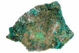 2.35" Gemmy Dioptase Crystals on Dolomite - Mpita Prospect, Congo - #131263-1